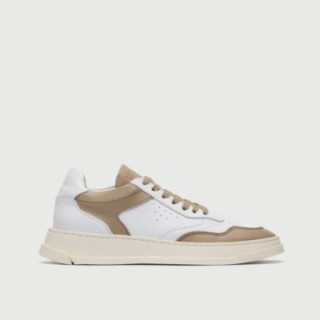 Santa Rosa Trainer Gold